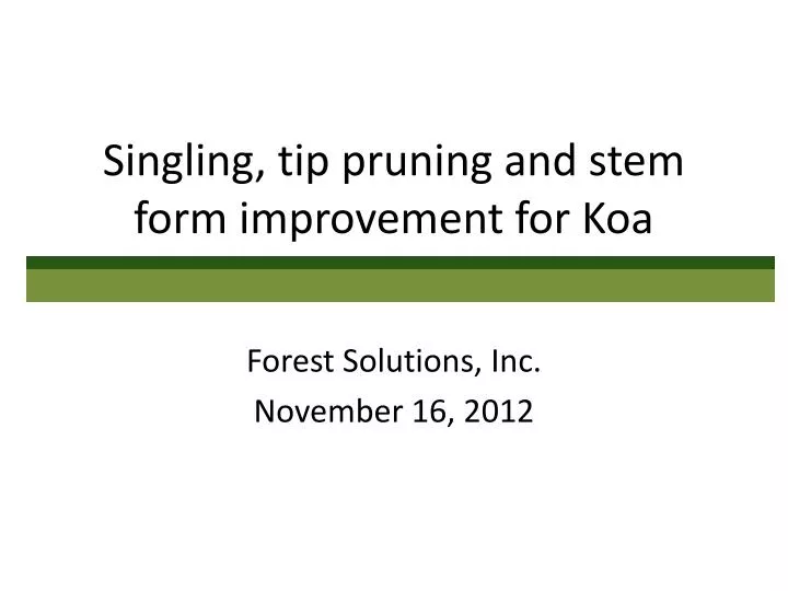 singling tip pruning and stem form improvement for koa