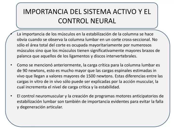 importancia del sistema activo y el control neural