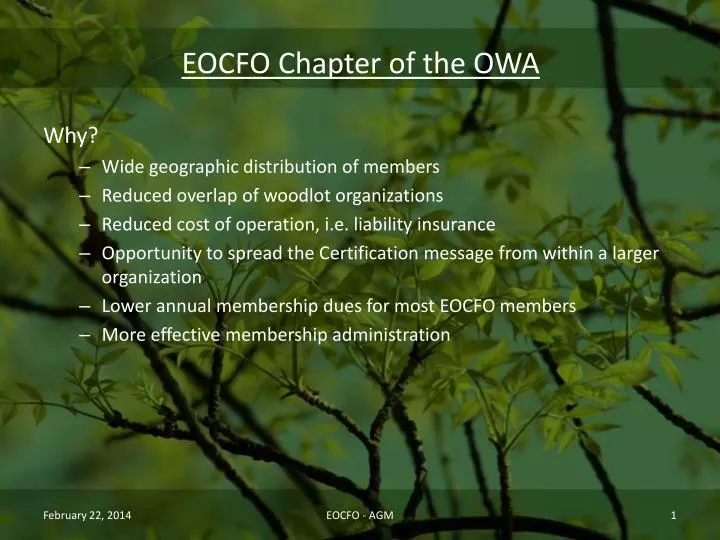 eocfo chapter of the owa