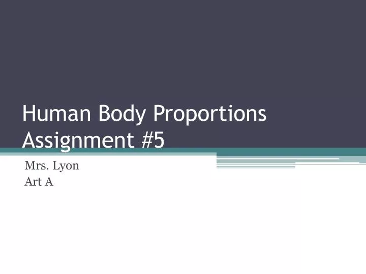human body proportions assignment 5