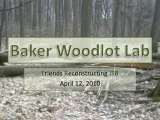 Baker Woodlot Lab