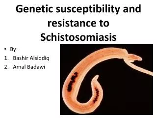 Genetic susceptibility and resistance to Schistosomiasis