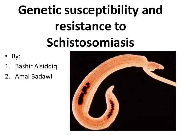 genetic susceptibility and resistance to schistosomiasis