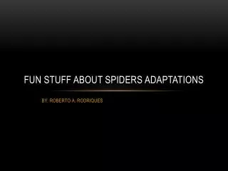 Fun Stuff About Spiders Adaptations