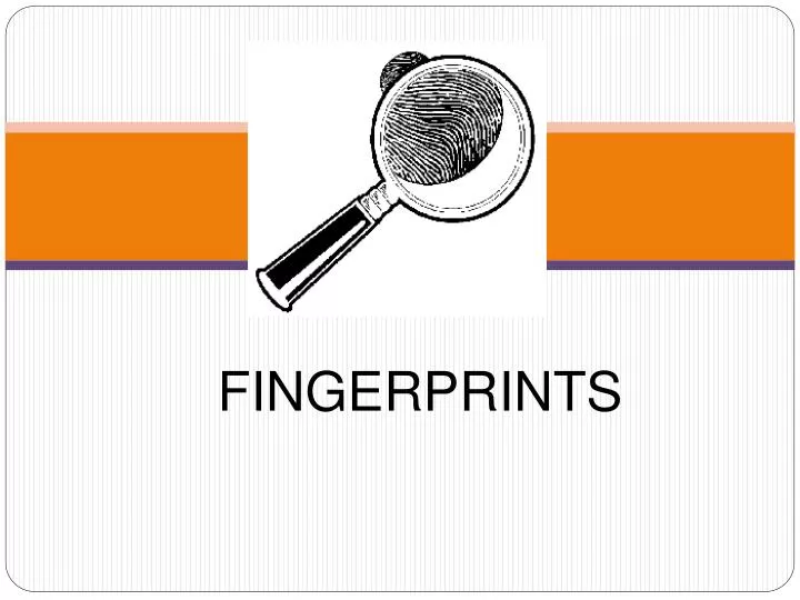 fingerprints