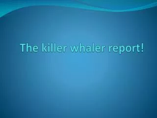 The killer whaler report!