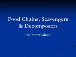 Food Chains, Scavengers &amp; Decomposers