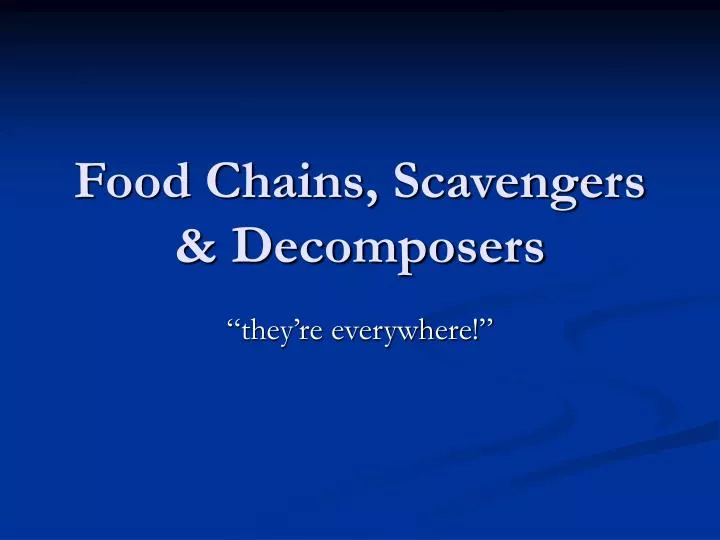 food chains scavengers decomposers