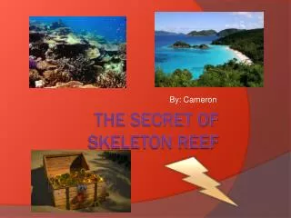 The secret of skeleton reef