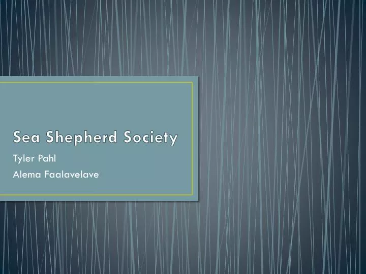 sea shepherd society