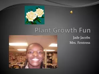 Plant Growth Fun