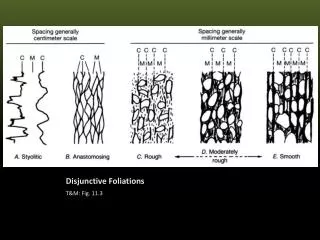 Disjunctive Foliations