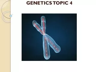 GENETICS TOPIC 4