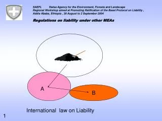 International law on Liability