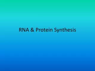 RNA &amp; Protein Synthesis