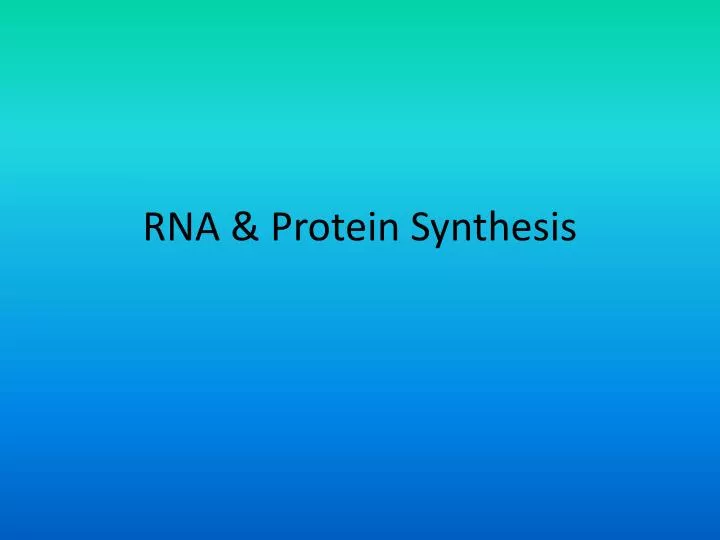 rna protein synthesis