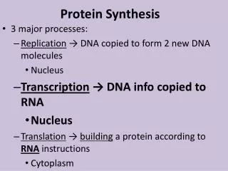 protein synthesis