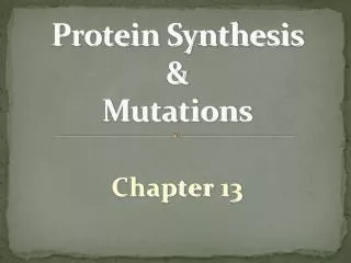 Protein Synthesis &amp; Mutations