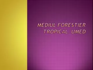 mediul forestier tropical umed