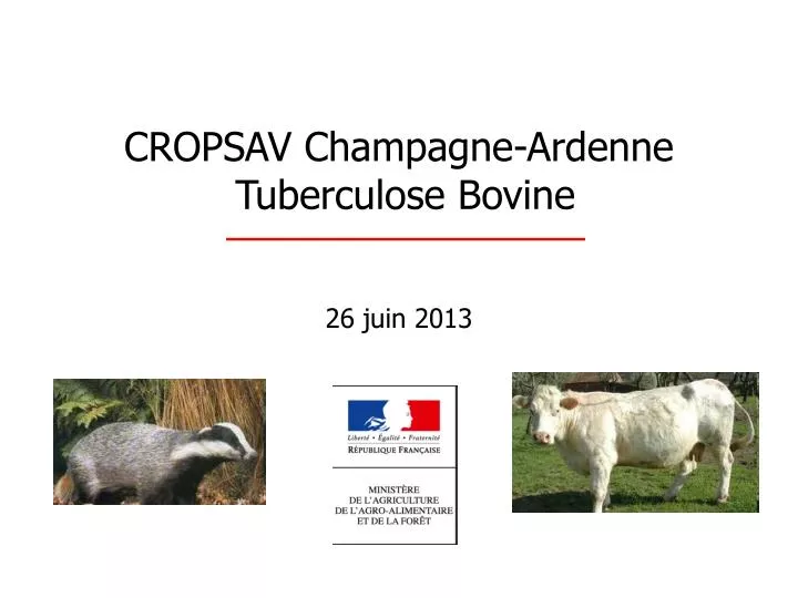 cropsav champagne ardenne tuberculose bovine