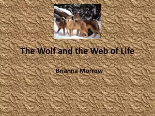 The Wolf and the Web of Life