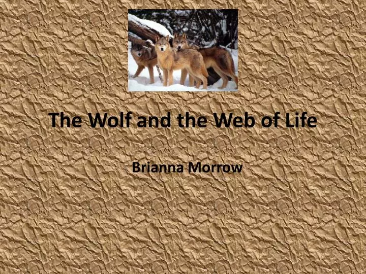 the wolf and the web of life