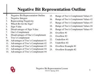 Negative Bit Representation Outline