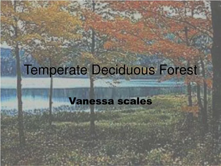 temperate deciduous forest