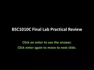 BSC1010C Final Lab Practical Review