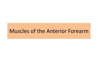 Muscles of the Anterior Forearm