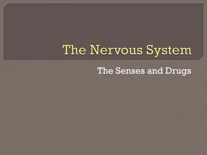 the nervous system