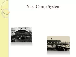 Nazi Camp System