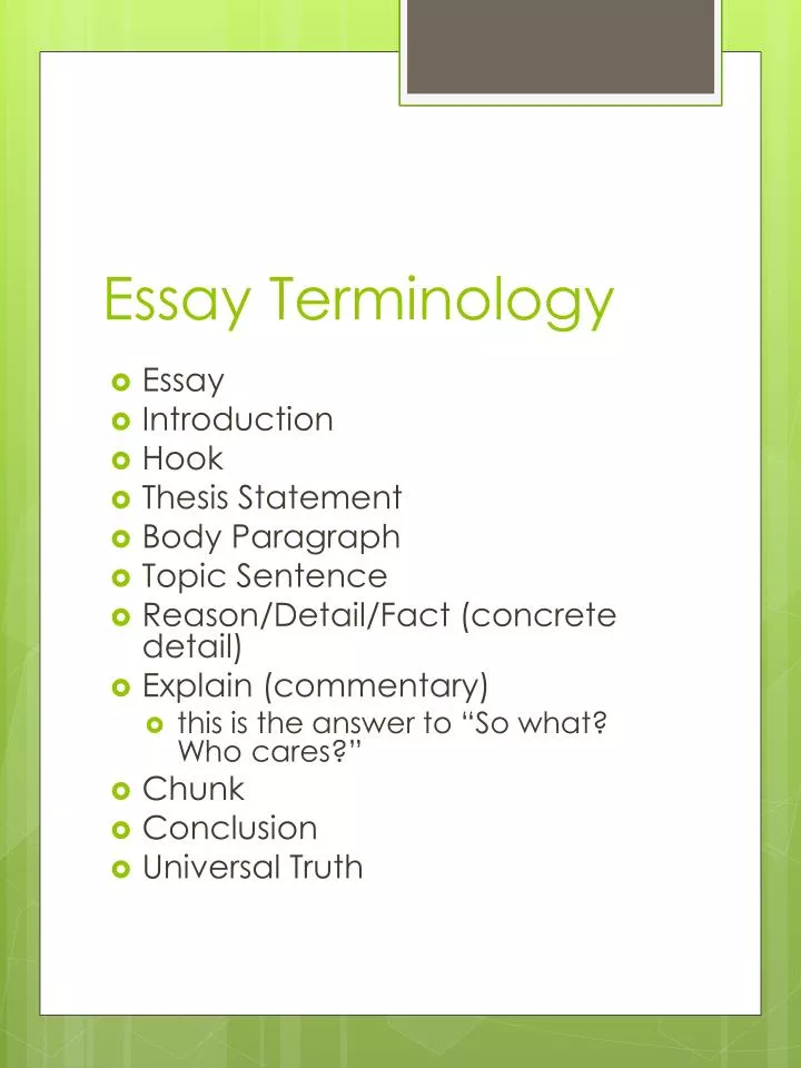 essay terminology