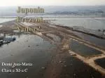 Japonia Prezent … Viitor ? - slide 1