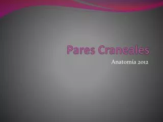 pares craneales
