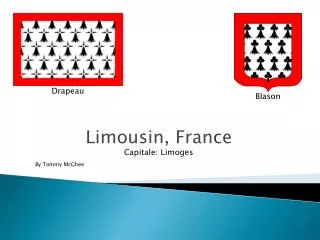limousin france