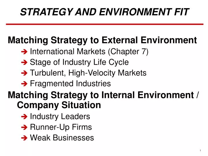 strategy and environment fit