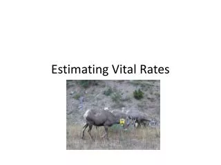 Estimating Vital Rates