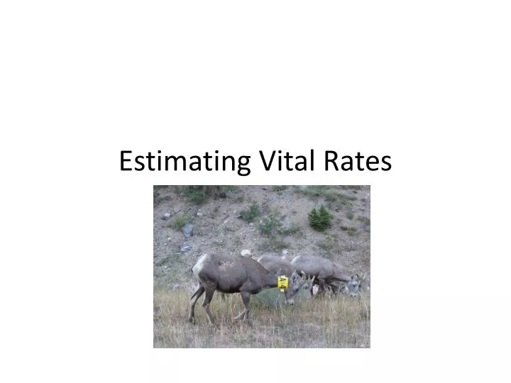 estimating vital rates