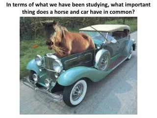 In terms of what we have been studying, what important thing does a horse and car have in common?