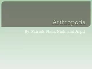 Arthropoda