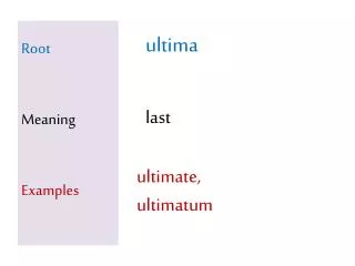 Root Meaning Examples