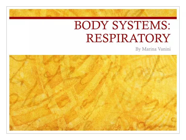 body systems respiratory