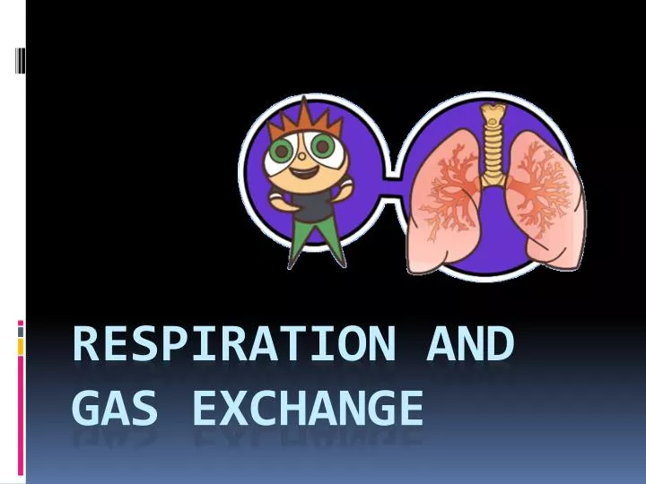 respiration and gas exchange