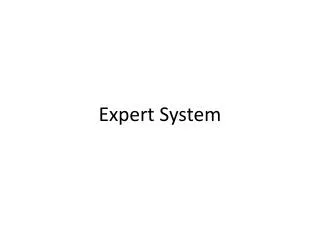 expert system
