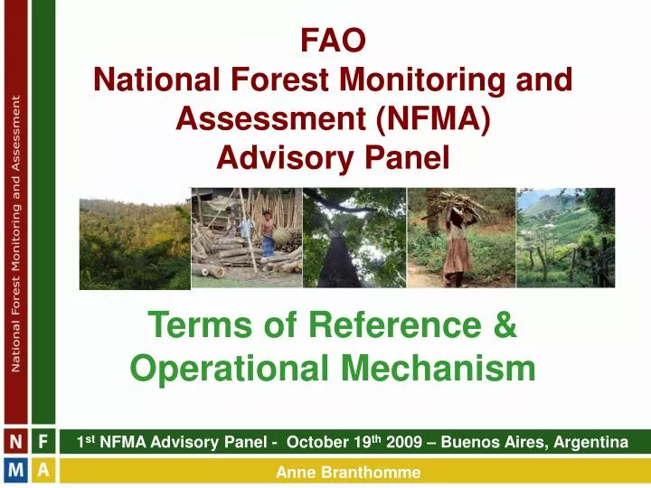 fao national forest monitoring and assessment nfma advisory panel