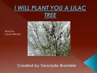 I WILL PLANT YOU A LILAC TREE