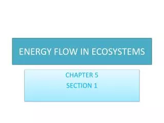 ENERGY FLOW IN ECOSYSTEMS