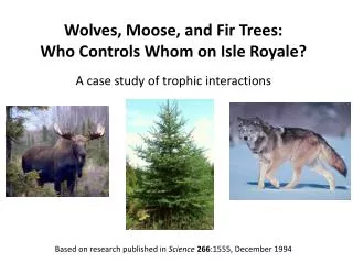 Wolves, Moose, and Fir Trees: Who Controls Whom on Isle Royale?