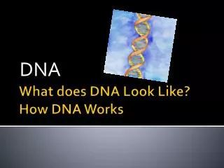 What does DNA Look Like? How DNA Works